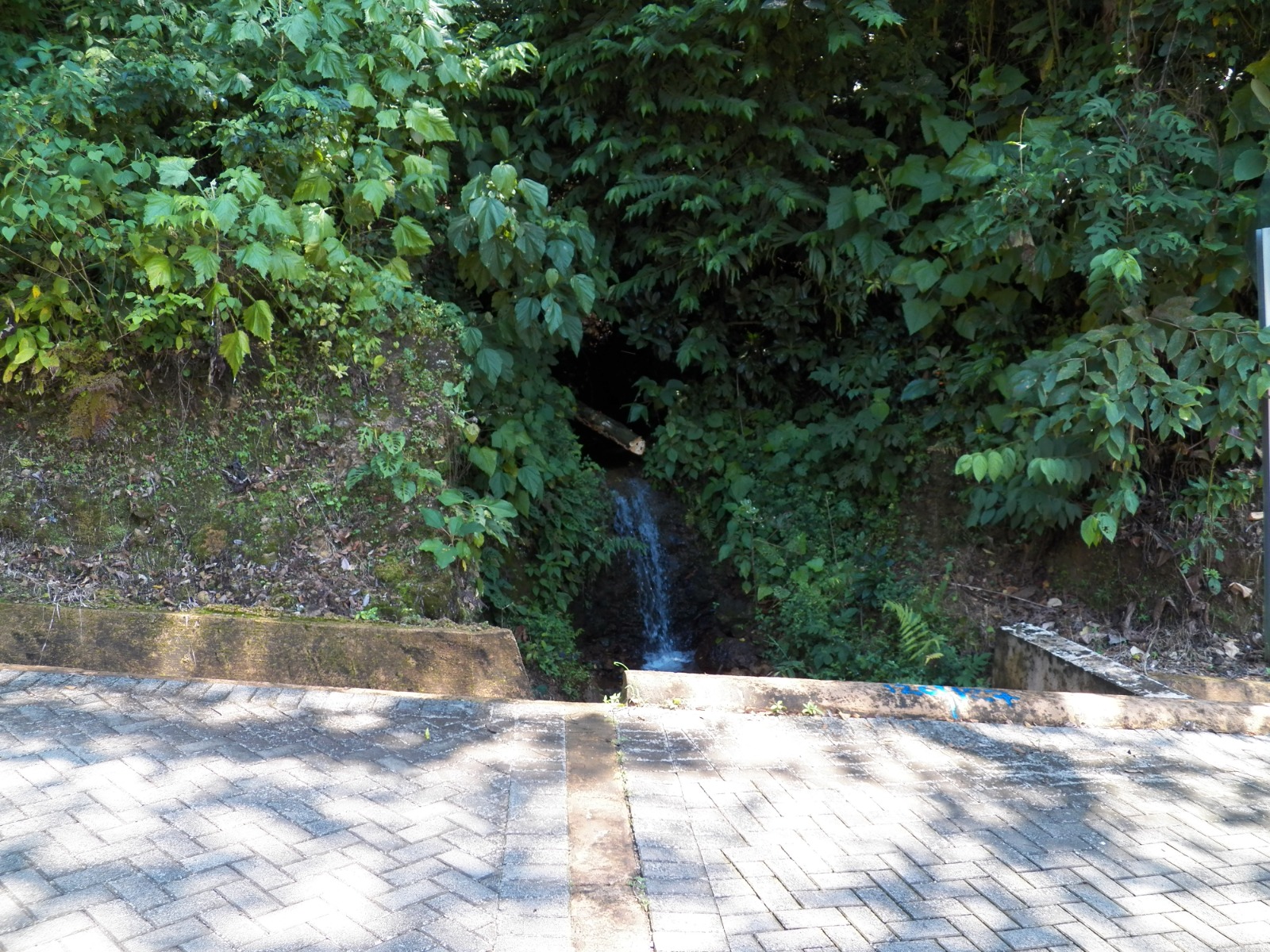 Posadas del Sol - Foto 14