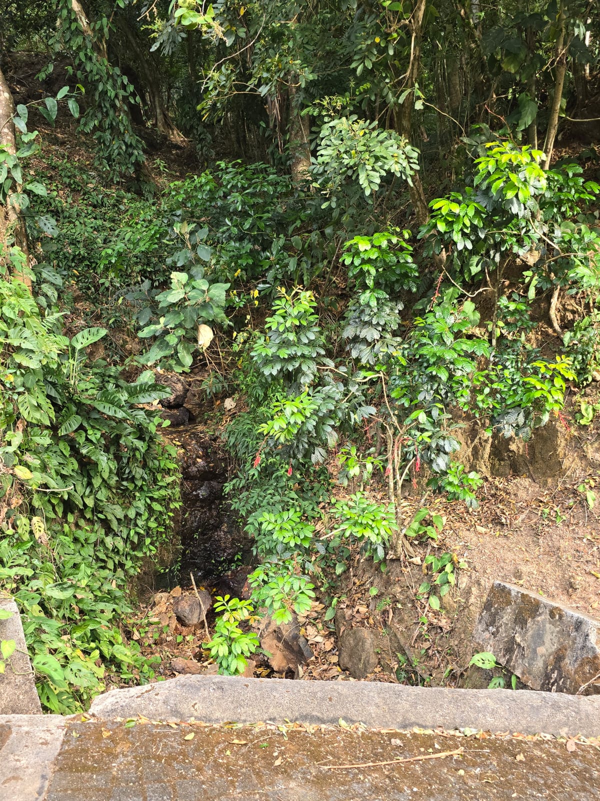 Posadas del Sol - Foto 26