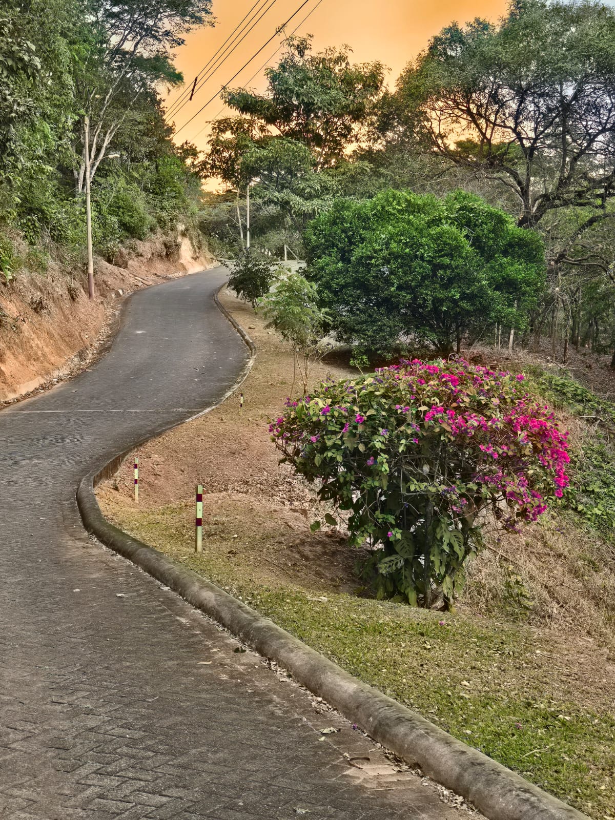Posadas del Sol - Foto 34