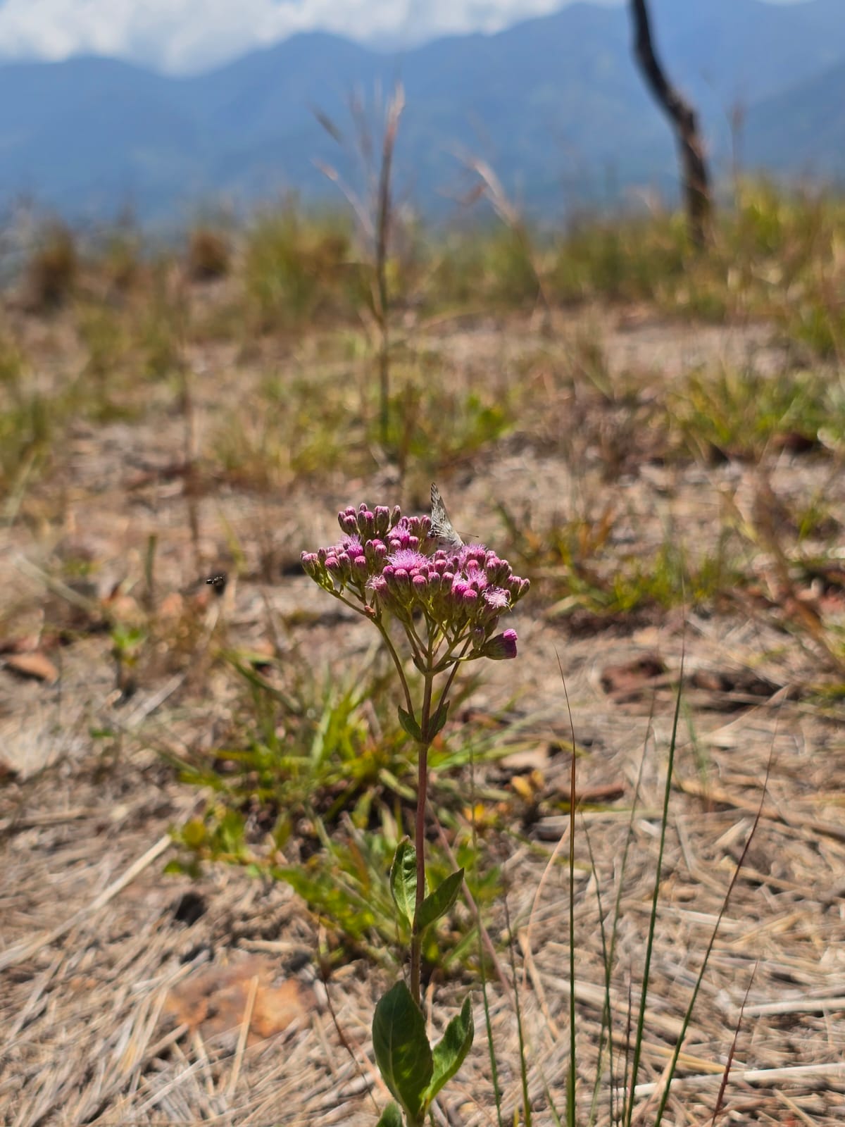 Posadas del Sol - Foto 37