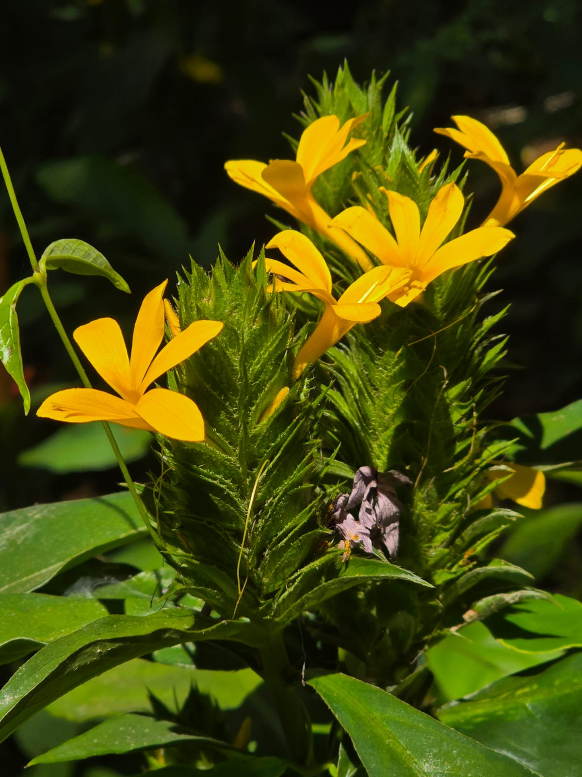Posadas del Sol - Foto 38