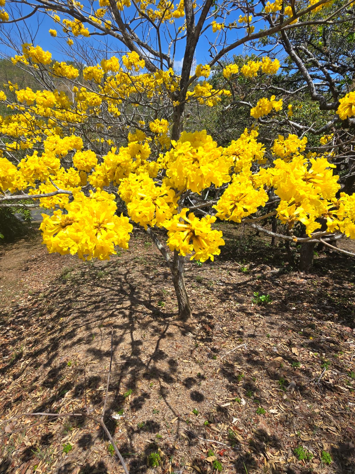 Posadas del Sol - Foto 43