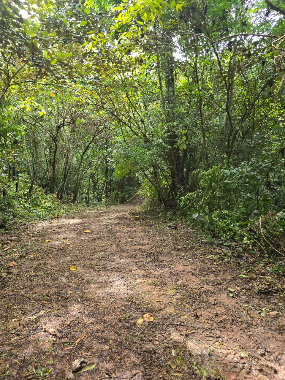 Posadas del Sol - Foto 45