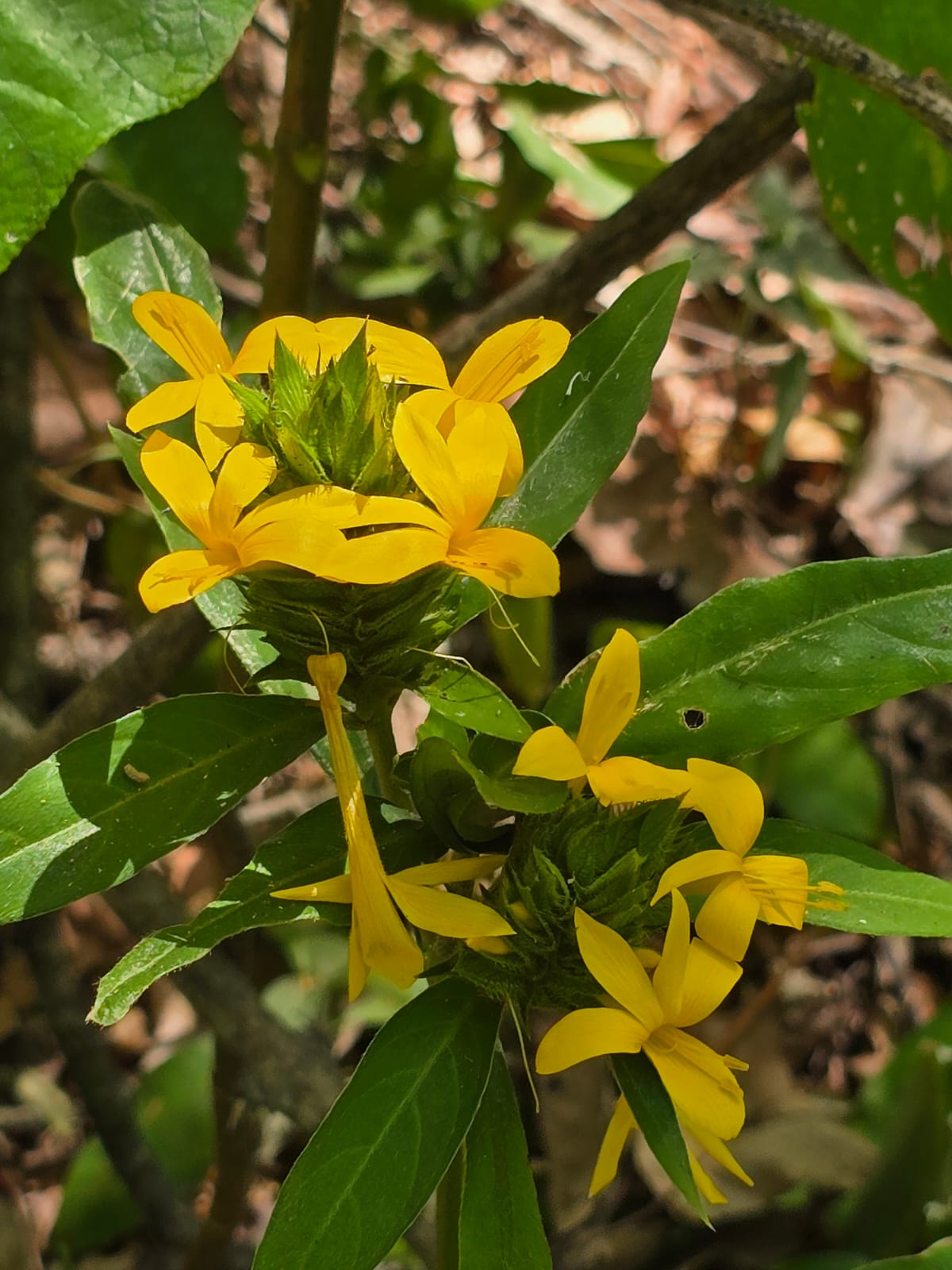 Posadas del Sol - Foto 47