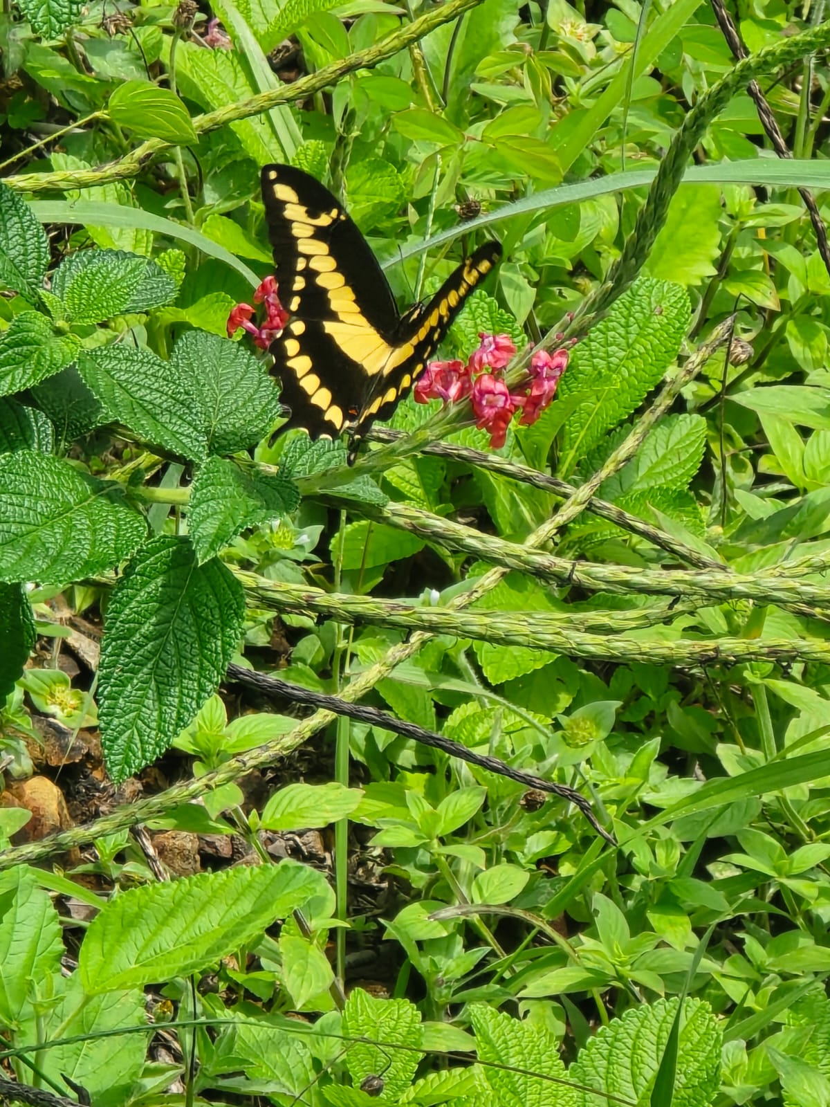 Posadas del Sol - Foto 48