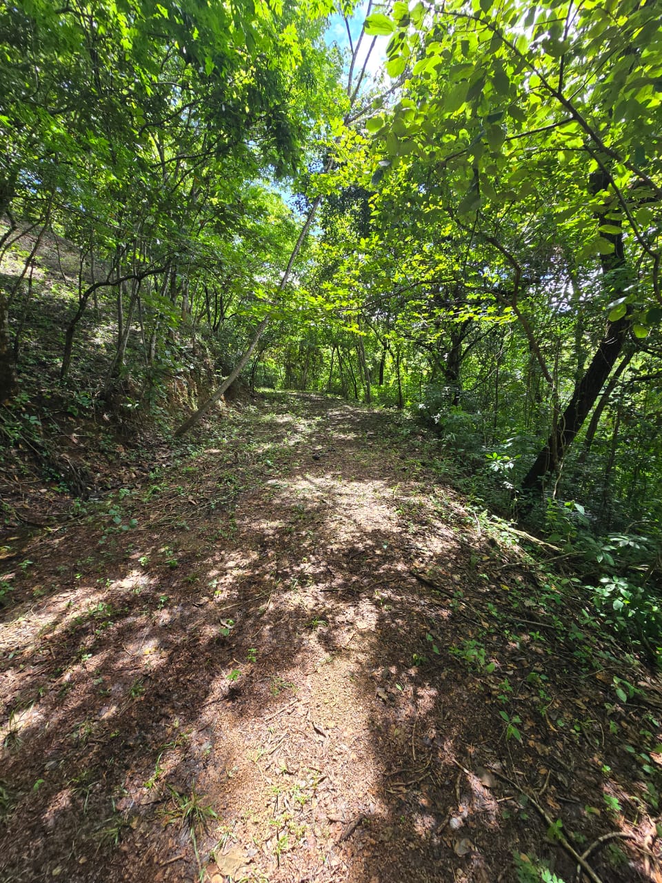 Posadas del Sol - Foto 53