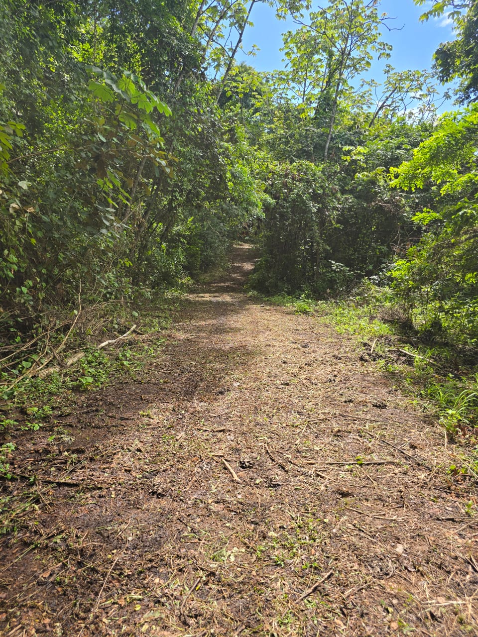 Posadas del Sol - Foto 55